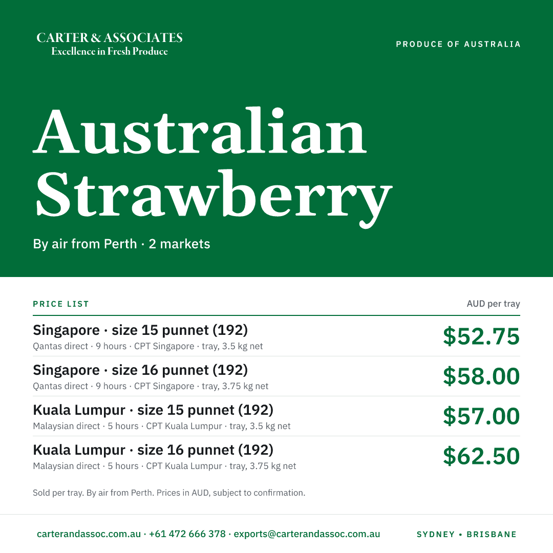 One tile for all markets: Singapore · size 15 punnet (192), Singapore · size 16 punnet (192), Kuala Lumpur · size 15 punnet (192), Kuala Lumpur · size 16 punnet (192).