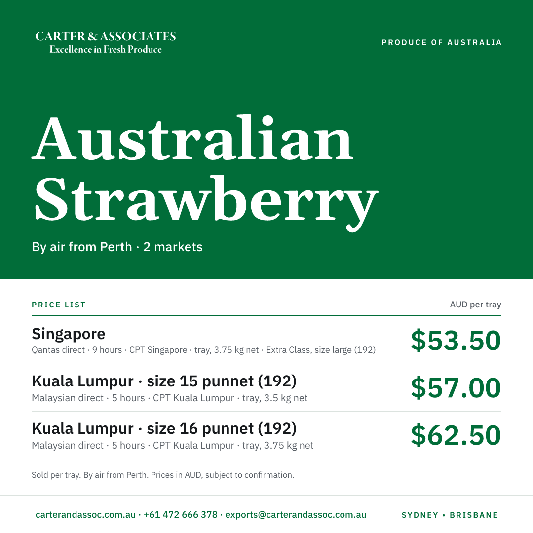 One tile for all markets: Singapore, Kuala Lumpur · size 15 punnet (192), Kuala Lumpur · size 16 punnet (192).
